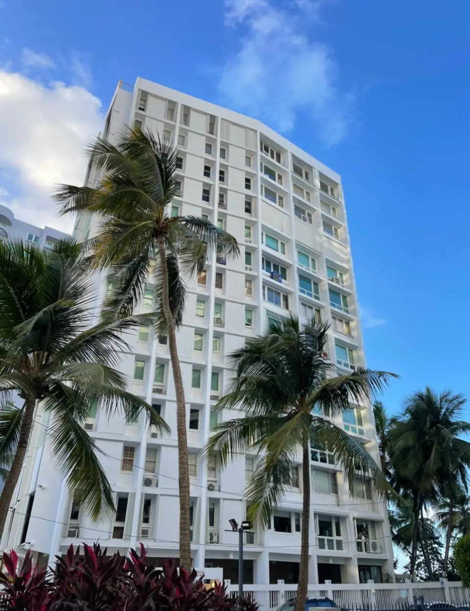 The white high-rise building seen from street level, rows of windows and balconies across the facade, with tall palm trees in front and blue sky above.